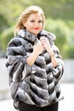 SN Furs